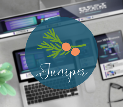 Juniper Foxbright Template Feature