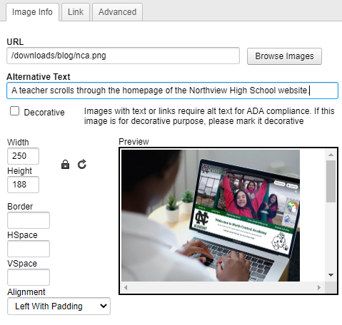 Alternative text provides context to screen readers for images 