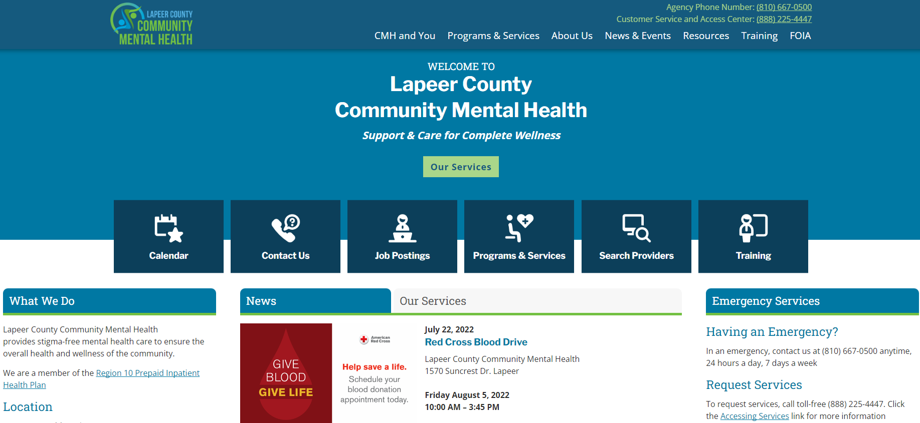 Screenshot of new Lapeer County Community Mental Health Website 